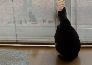 P1010936-ass.jpg