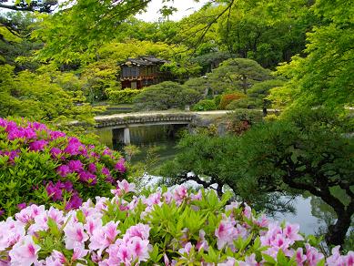 相楽園・日本庭園
