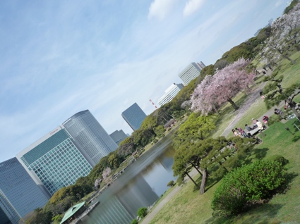 2012.04.15浜離宮庭園5.jpg