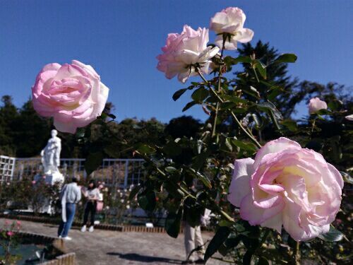 rblog-20181021231356-00.jpg