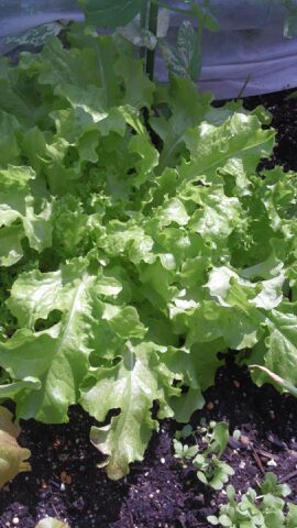 rblog-20140503100332-01.jpg