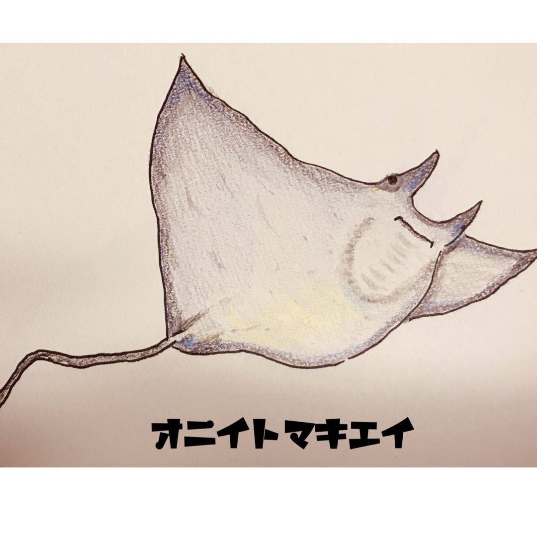 オニイトマキエイ もち肌のサメ子 がお届けするサメのトリビア 楽天ブログ