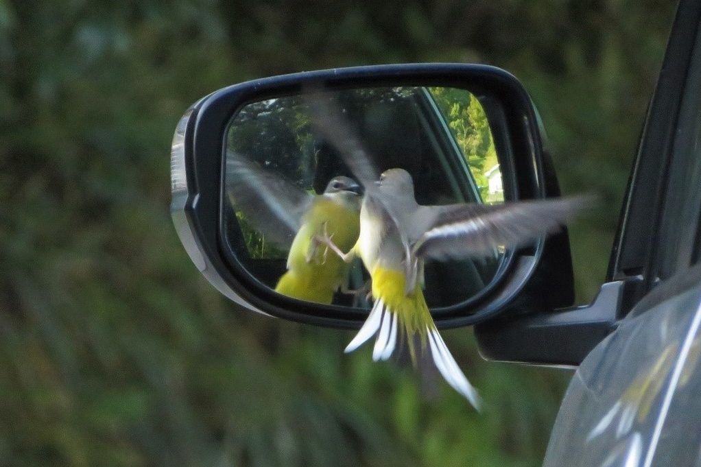 465