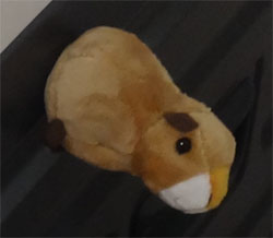 どうぶつ49.jpg