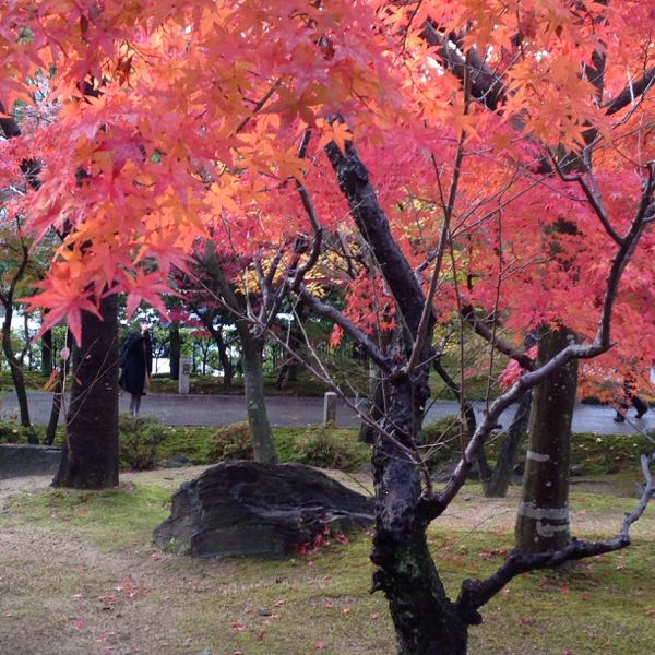 rblog-20171118220000-04.jpg