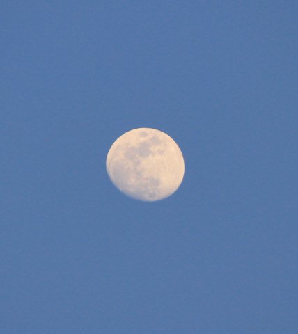 IMG_0038.JPG