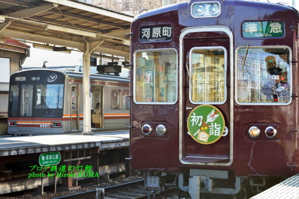 グリーンの色合いがシックな巳年のヘッドマーク