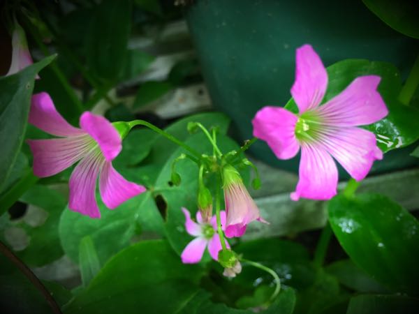rblog-20160625182925-01.jpg