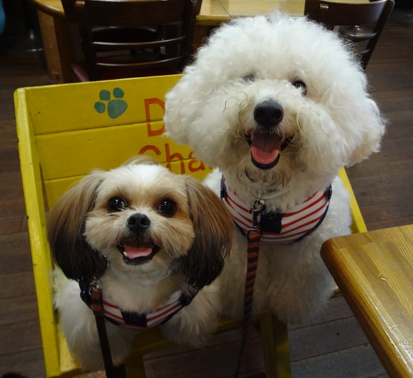 DSC00306.jpgクエスチョン.jpg