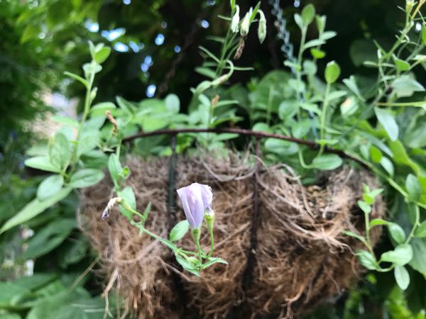 rblog-20180628171900-06.jpg