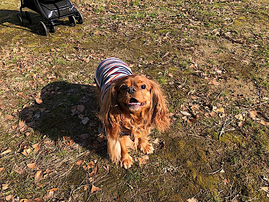 rblog-20181221122652-09.jpg