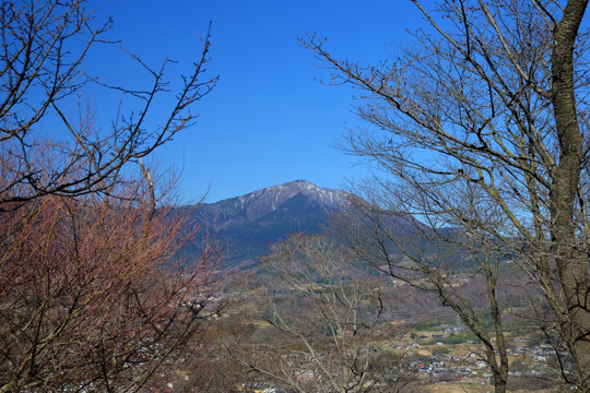 DSCF2352.jpg