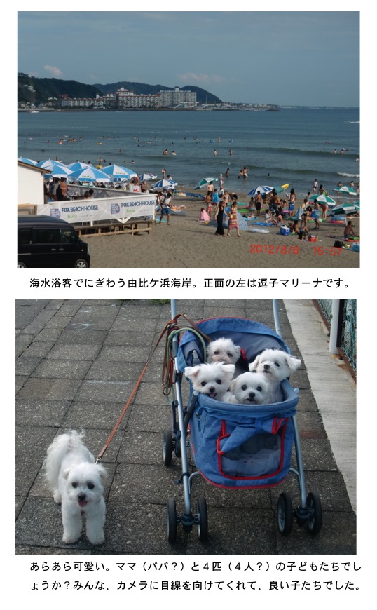 2012.08.13-3.jpg