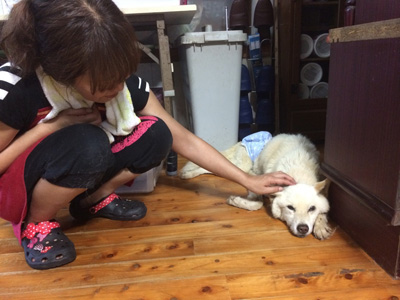 20140827d.jpg