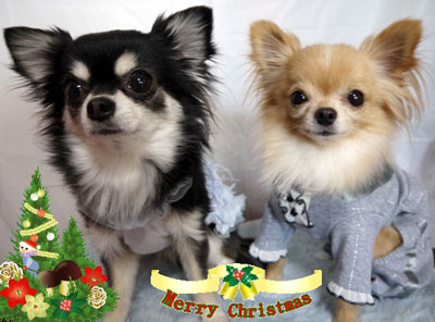 20121224christmas3a