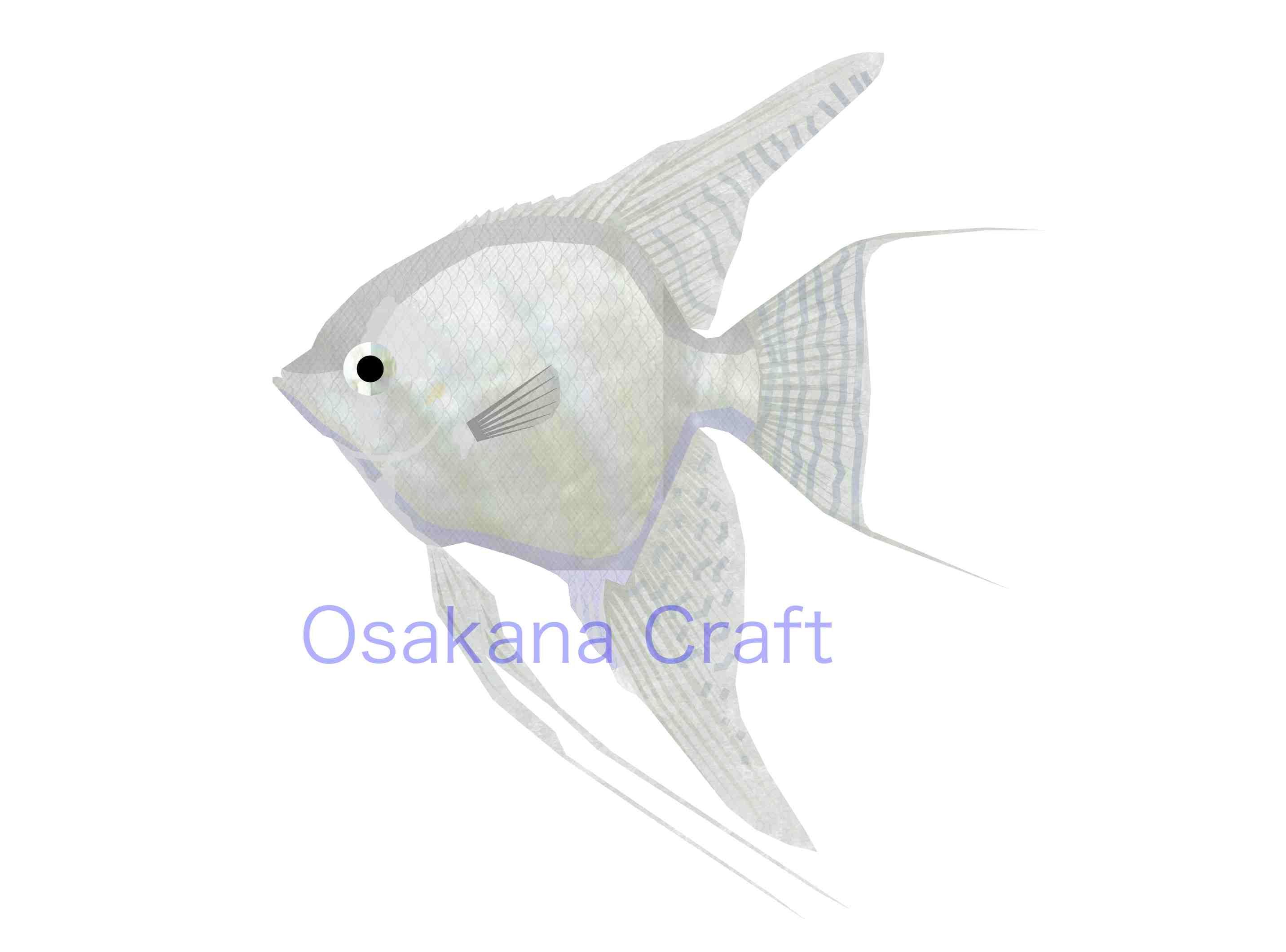エンゼルフィッシュ Angelfish Osakana Craft イラスト熱帯魚図鑑 楽天ブログ
