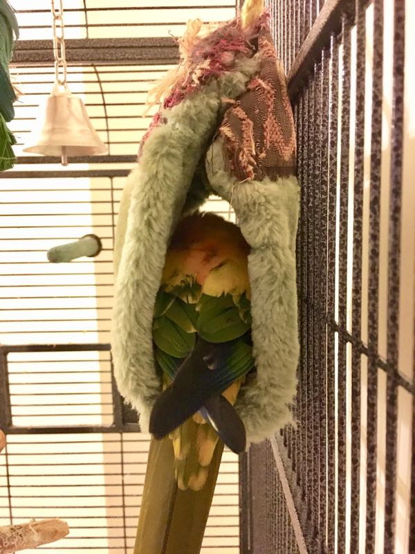 rblog-20190121194253-01.jpg