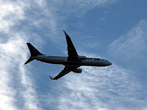 IMG_6513.jpg