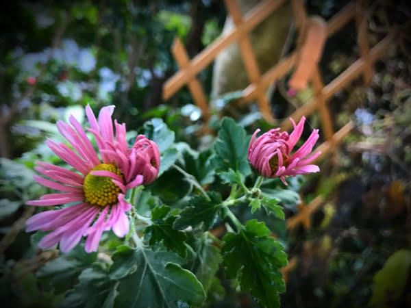 rblog-20161129163332-04.jpg