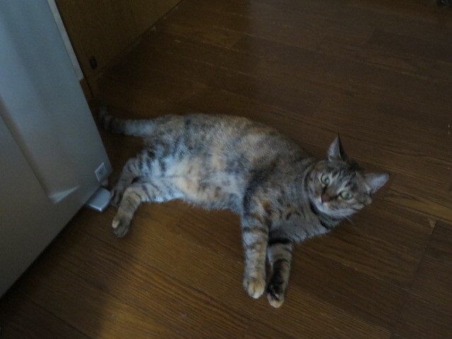 無題-24bitカラー-01.jpg