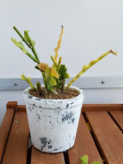 rblog-20180404111238-06.jpg