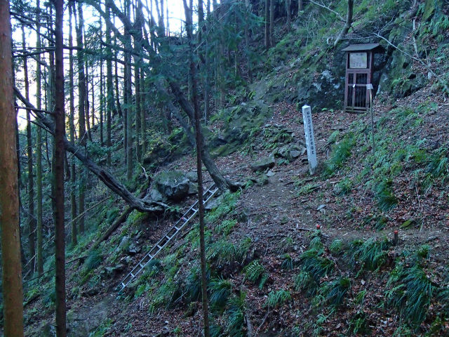 sP1050026.jpg