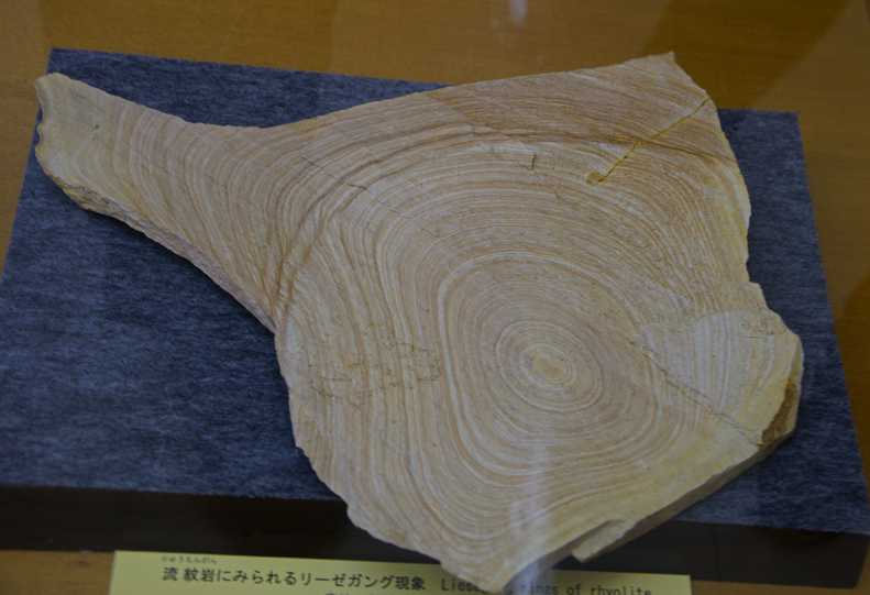 愛知県新城市 新城市鳳来寺山自然科学博物館 | 吾が徒然 - 楽天ブログ
