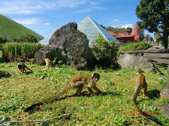 秋のシャボテン公園 019.jpg