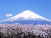 nipponfuji.jpg