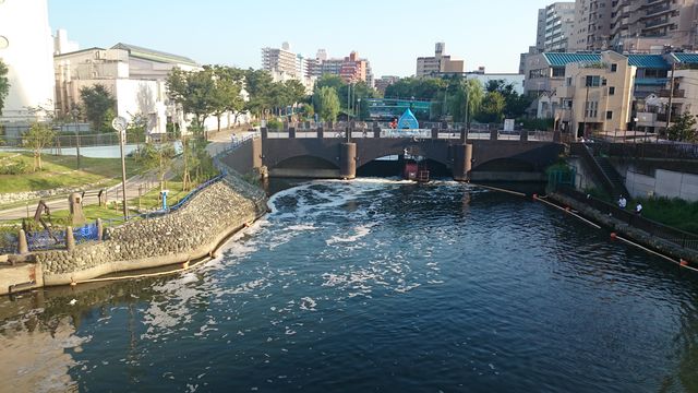 2015-08-22 16.45.18.jpg