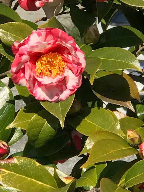 rblog-20180318午前73655-01.jpg