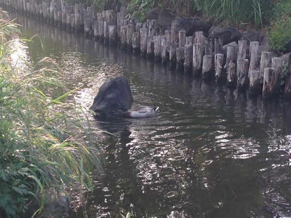 rblog-20140513201452-01.jpg