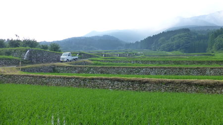 坂元棚田