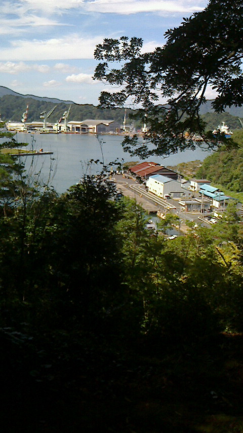NEC_0195.JPG