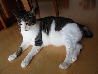 IMG_7260ss.jpg