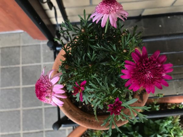 rblog-20190324174258-02.jpg