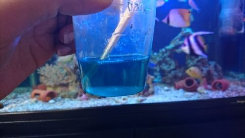 rblog-20170423172329-00.jpg