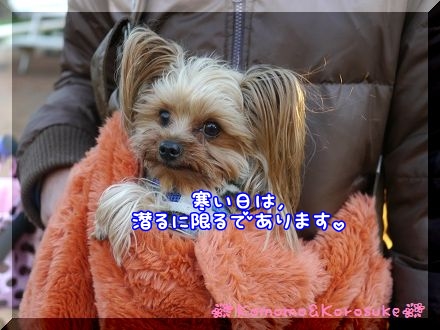 バッグin