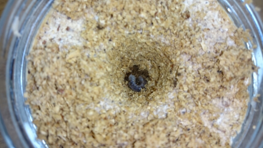 20160324_174856.jpg