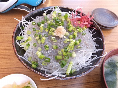 20140517生しらす丼