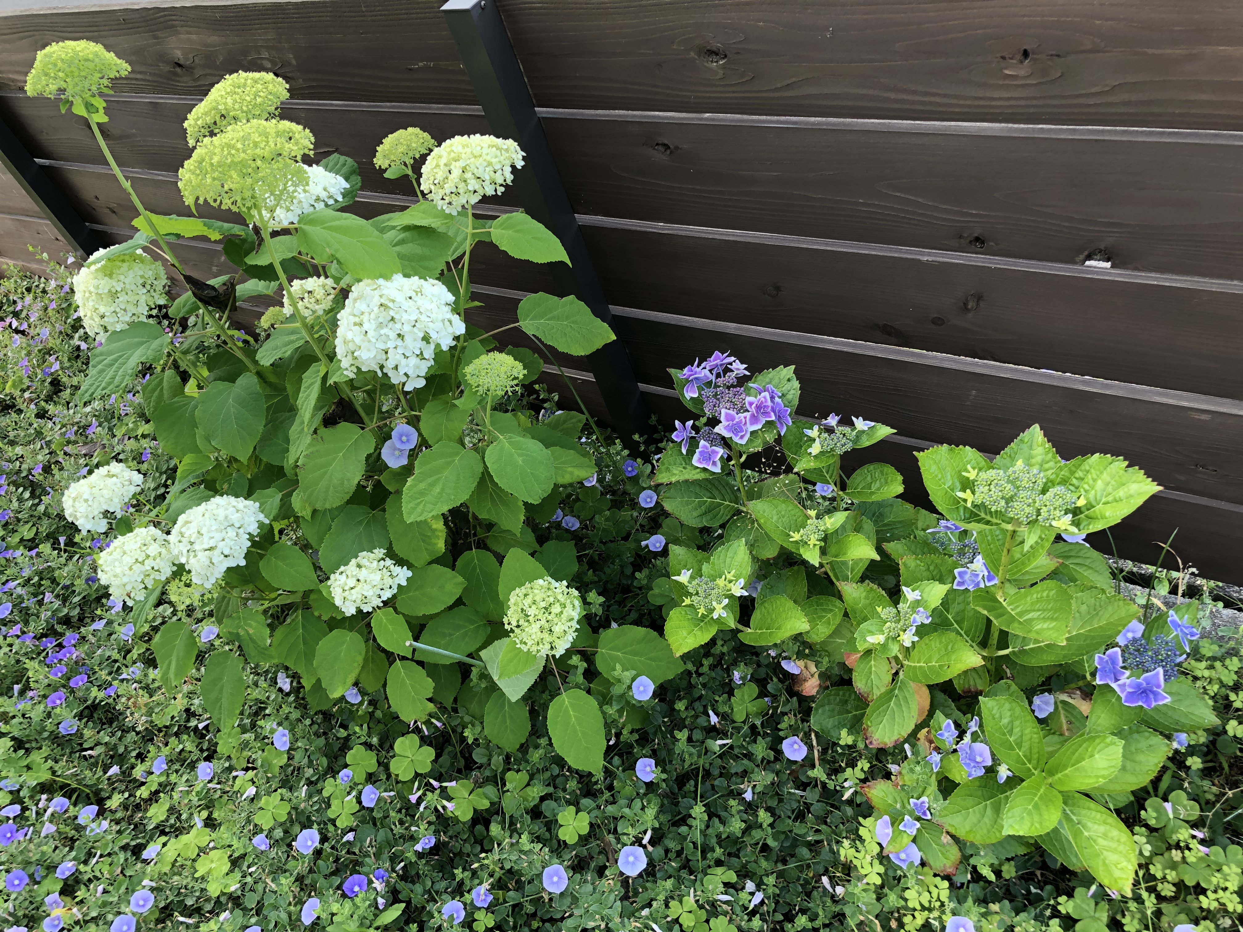 家計の見直しってどうすりゃいいの