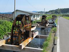 IMG_2145.jpg