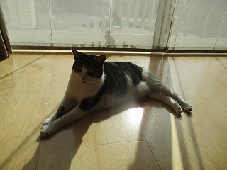 IMG_3640ss.jpg