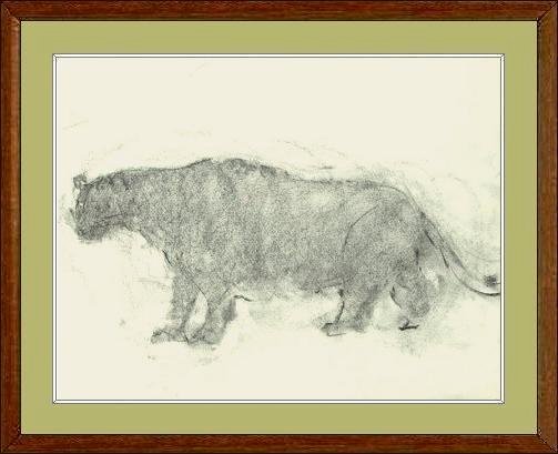 229ｸﾛﾋｮｳ79F6