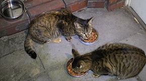5DA_1642-30.jpg