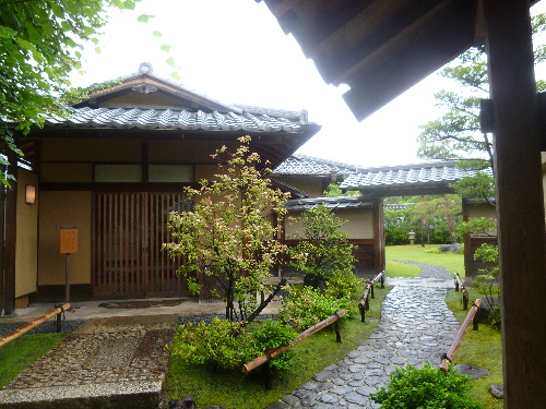 P1100913(1).JPG
