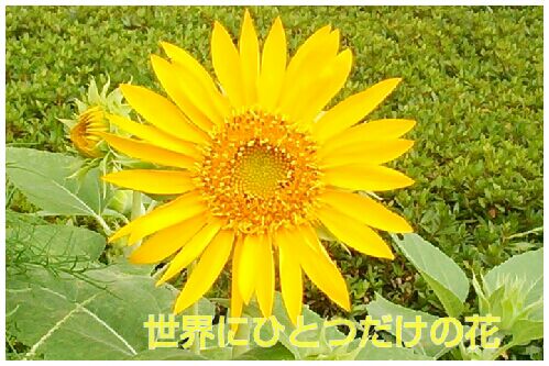 rblog-20160814080756-00.jpg