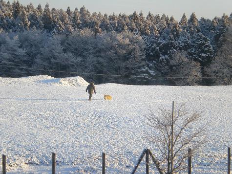 ２／１８北側の森とお散歩するワン.JPG