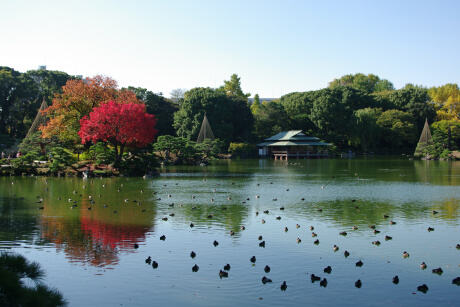 清澄庭園