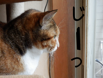 P4050018.png